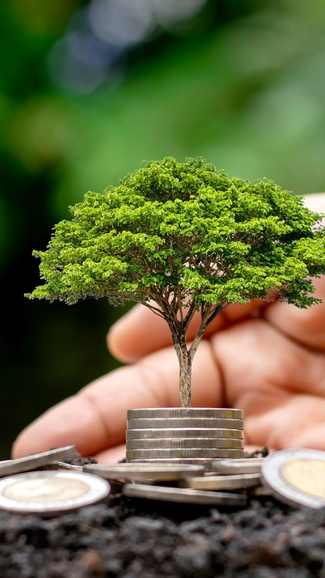 RigeneraNatura, un acquisto per un Albero